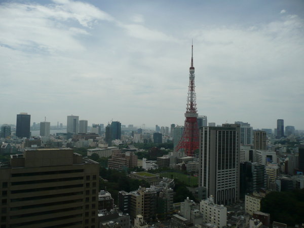 Tokyo from above #2