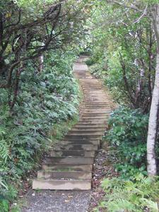 Stewart Island stairs