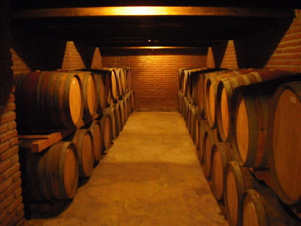 Oak barrels in Balduzzi Vineyard
