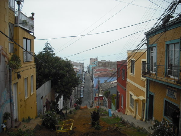 Cerro Bellavista 
