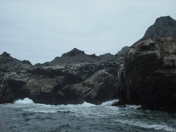 Island where the penguins reside