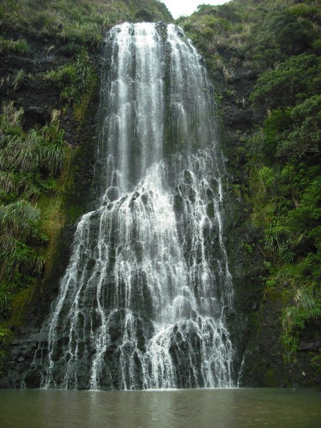 Beautiful waterfall near Auckland