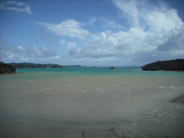 Beautiful beaches in Bay of Islands