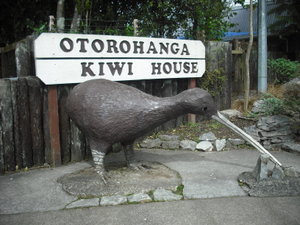 The Kiwi House