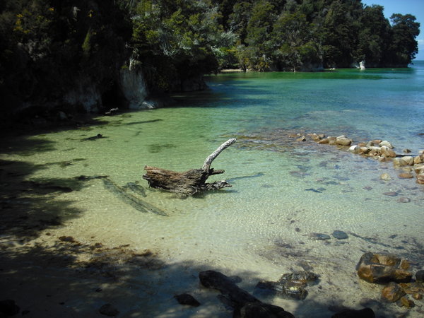 Abel Tasman Park coastline