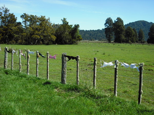 The bra fence
