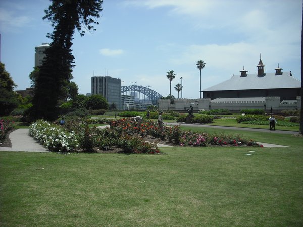 Botanic Gardens with the Harbour Bridge in the background