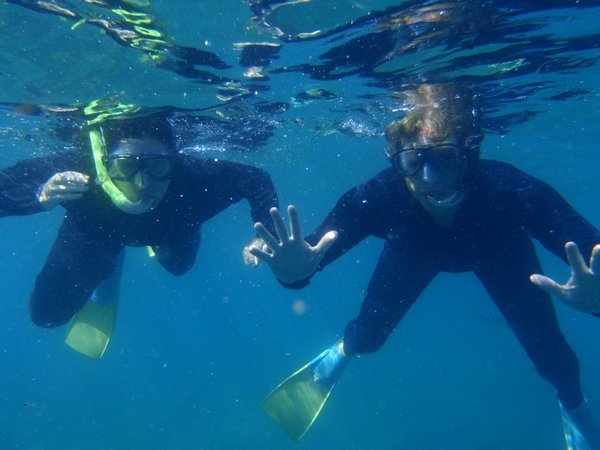 Snorkling in the Whitsundays