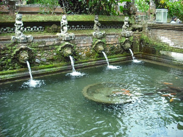 Pond with fish in the temple