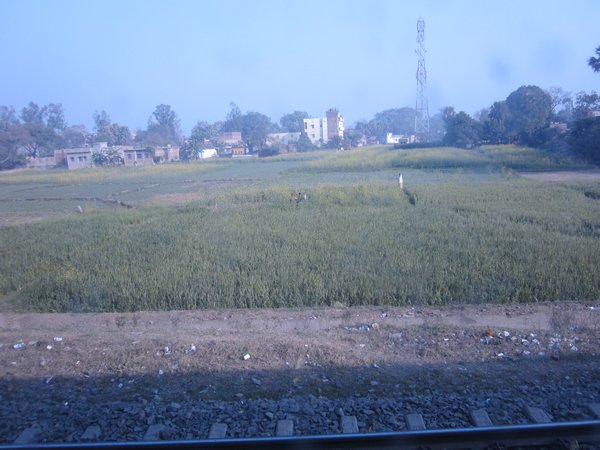 View of the Indian countryside from the train