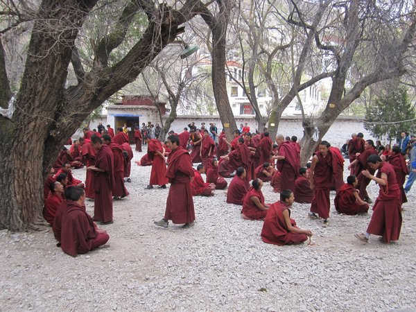 The debating monks