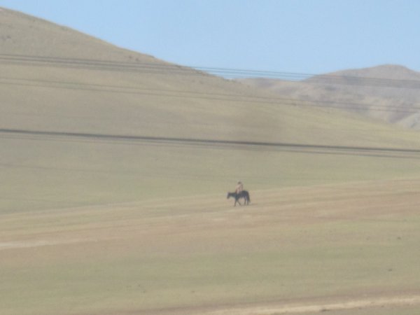 A lone horse-rider in Mongolia