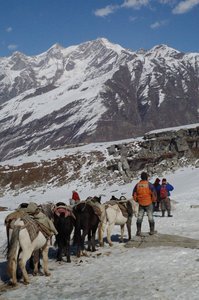 Horsemen in the Himalayas