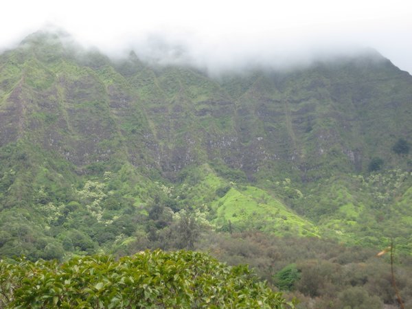 Maunawili Falls Hike