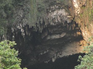 Bats Circling the Mouth of Deer Cave