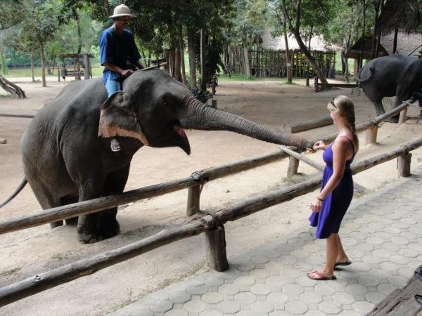 Caitlin Feeding an Elephant