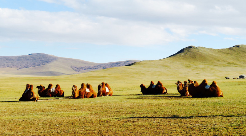 Relaxing in Mongolia 