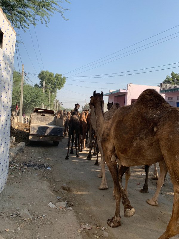 Passing through Narrow Streets