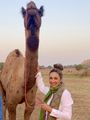 Posing With a Bull Camel