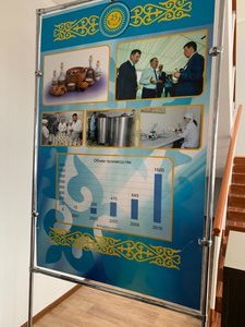 Growth Chart of Dairy