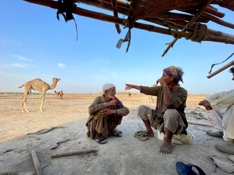 Conversations with the Jatt Camel Herders