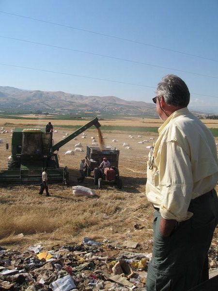 Supervising the Harvest Crew in the Bekaa Valley