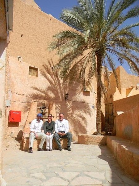 Ghardaia's gold: water well partnered with a palm tree