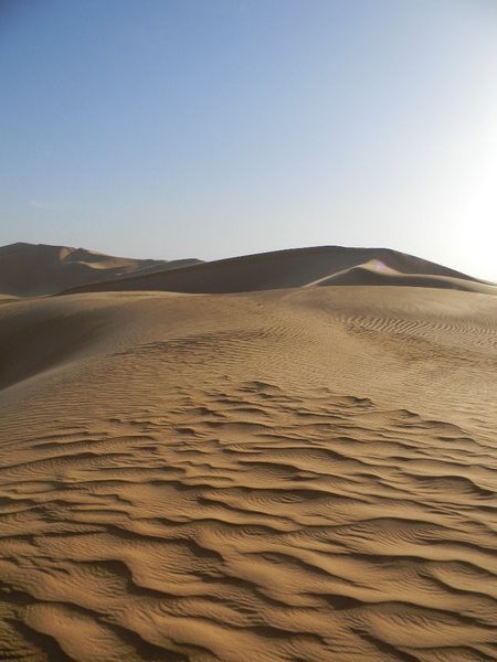 Sand dunes in the Sahara