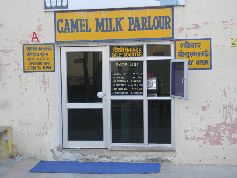 Got Camel Milk?