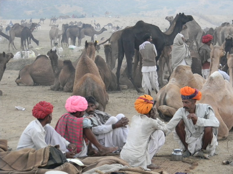 Camel Herders at Pushkar