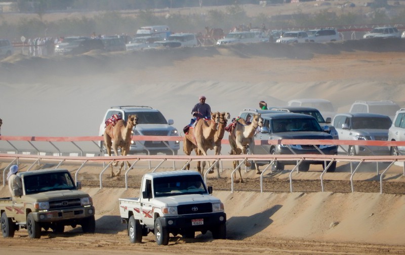 Cars Racing Along the Camel Track