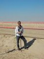 At the Camel Race Track