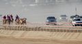 Traditional Camel Racing