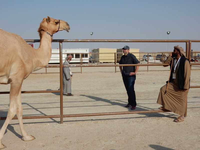 Kyle Judging Camels