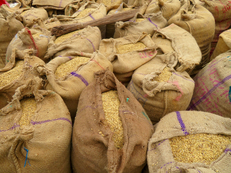 Bags of Rice