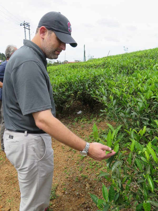 Kyle Inspecting Tea Crop
