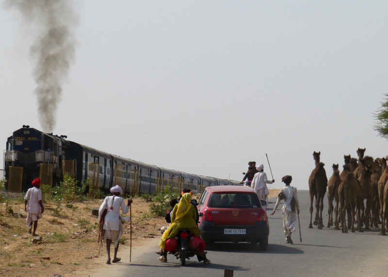 Trains, Mopeds, Cars & Camels