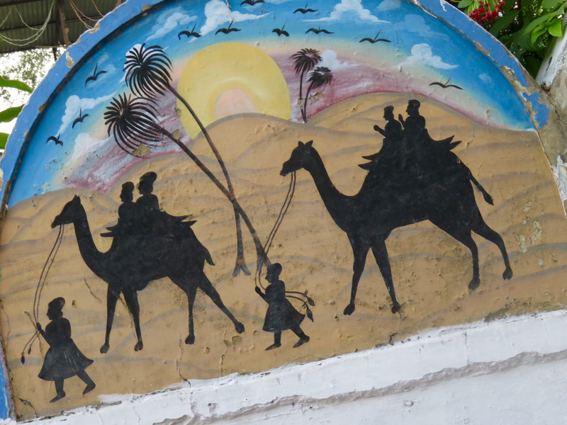 Camel Art Near Pushkar Lake