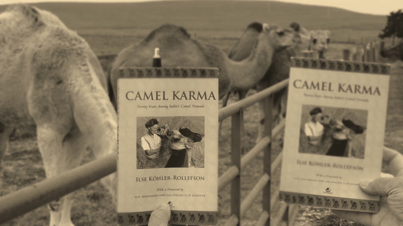 Camel Karma
