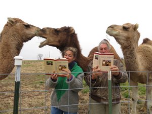 Shamrock Farms Book Club