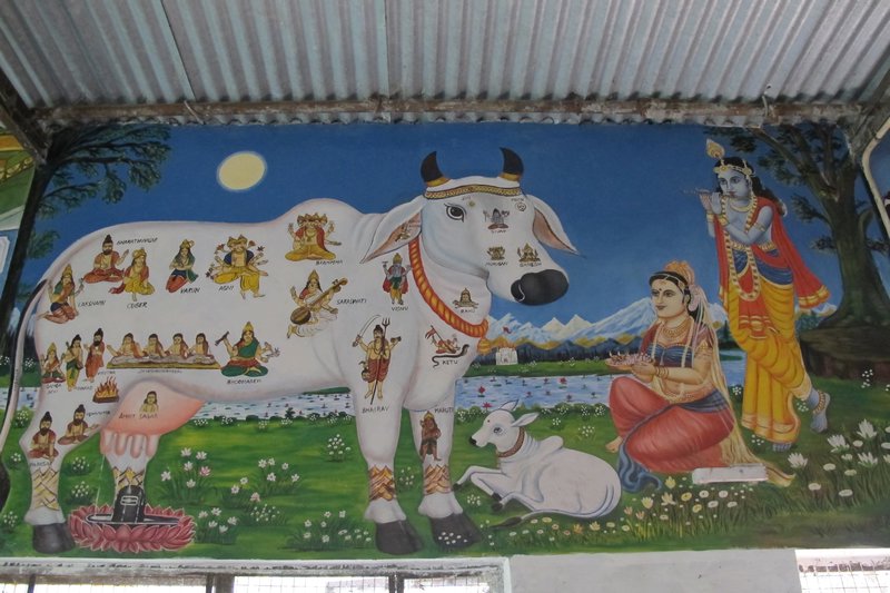 Murals in the Ashram Cow Shed