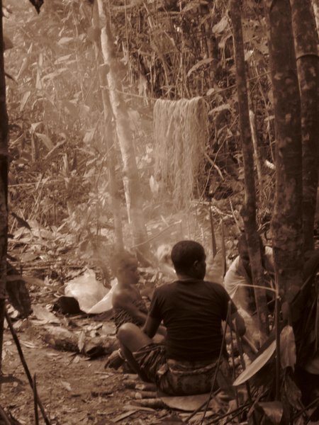 Jungle Camp 5