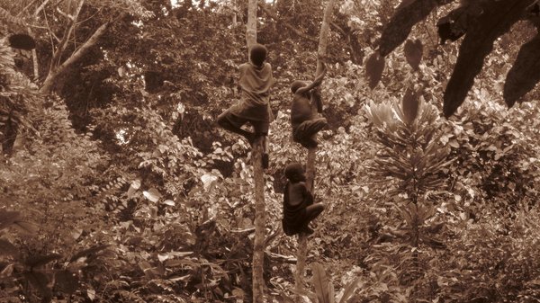 Kids in a much taller tree
