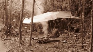 Jungle Camp 7