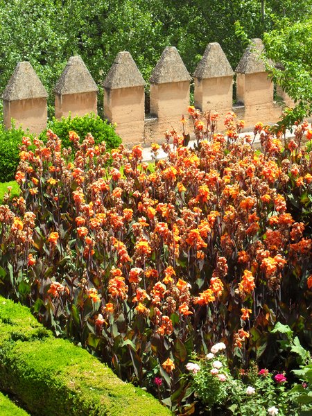 Alhambra 2010