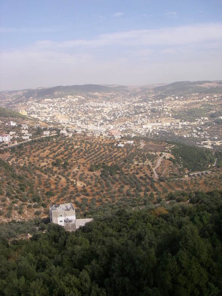Ajloun Town seen from the castle