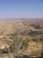 View of promised land from Mount Nebo