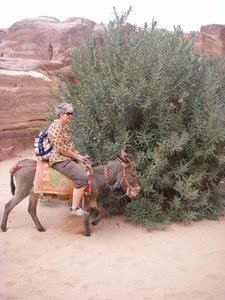 Petra donkey ride