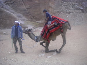 W.. camel ride
