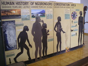 Ngorongoro Conservation Area is location of Olduvai Gorge